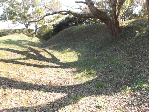 CIMG0550