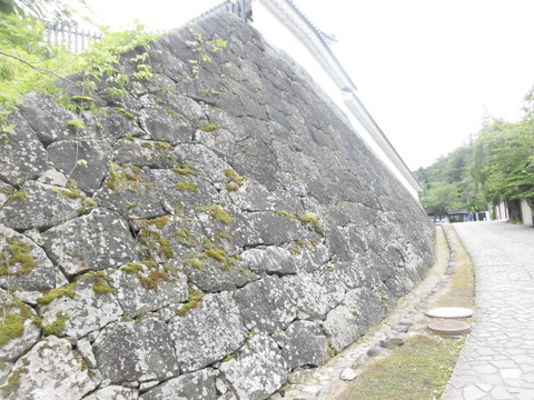 CIMG0462