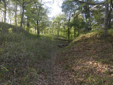 CIMG0825