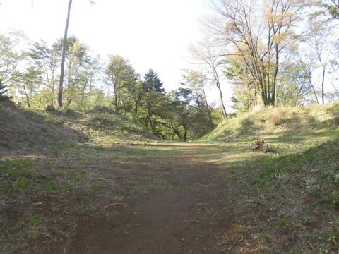 CIMG0802