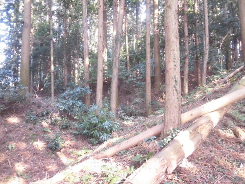 CIMG0196