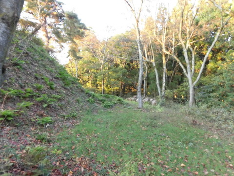 CIMG0447