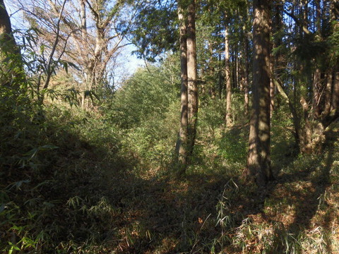 CIMG5843