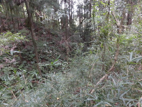 CIMG0057