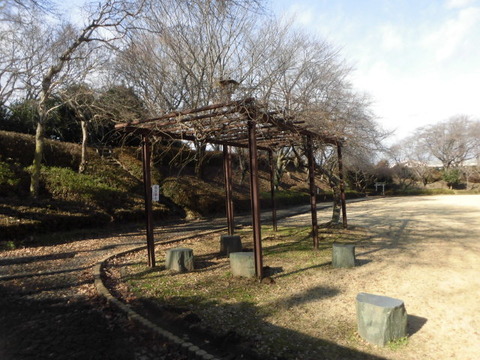 CIMG0670