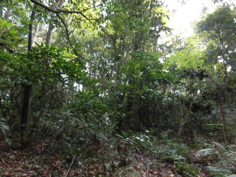 CIMG4512