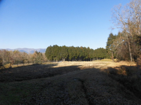CIMG5802