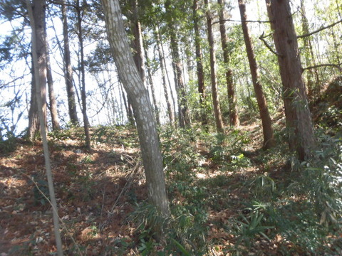CIMG2483