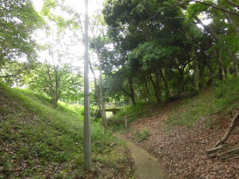CIMG4220