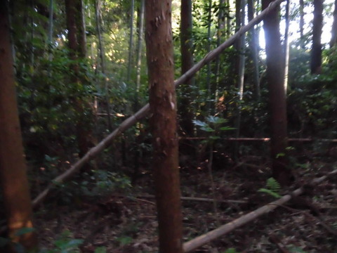 CIMG0015
