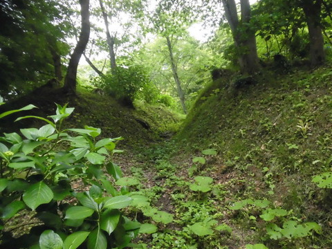 CIMG0528