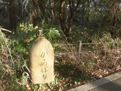 CIMG2102