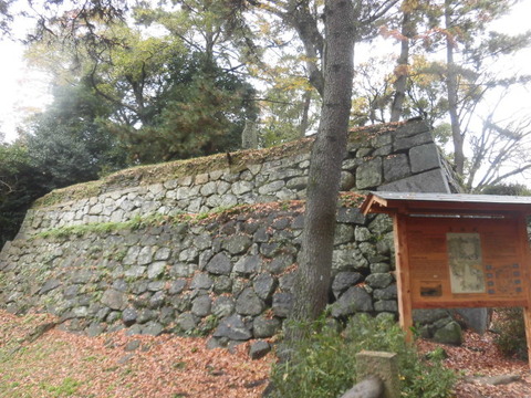 CIMG8796