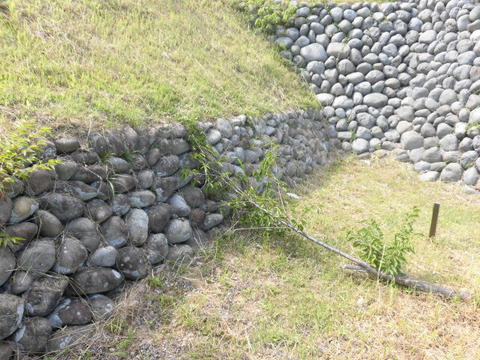 CIMG2672