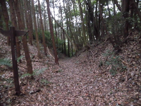 CIMG9645