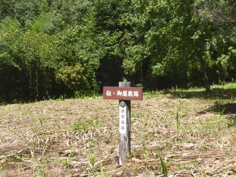 CIMG9789