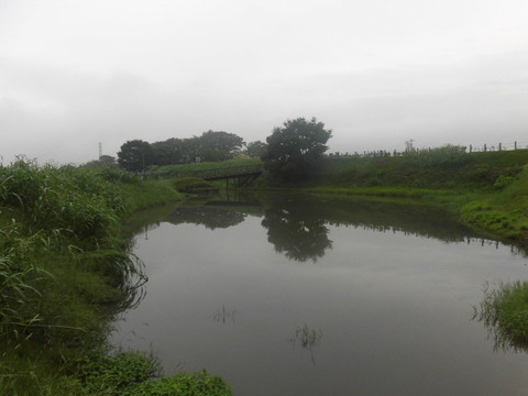 CIMG6655