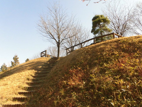 CIMG2967