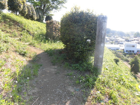 CIMG9664
