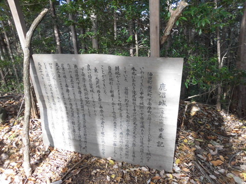 CIMG5454