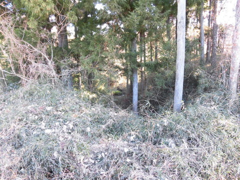 CIMG5785