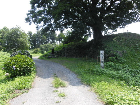 CIMG2850