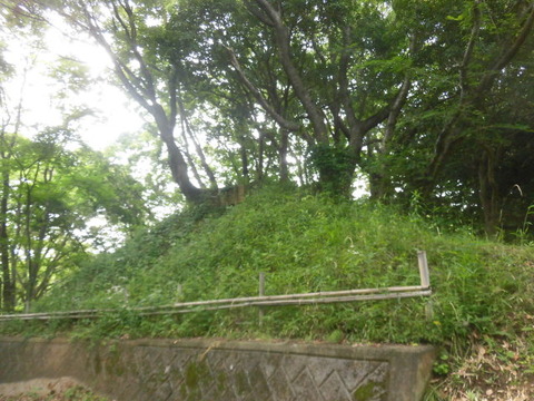CIMG4247