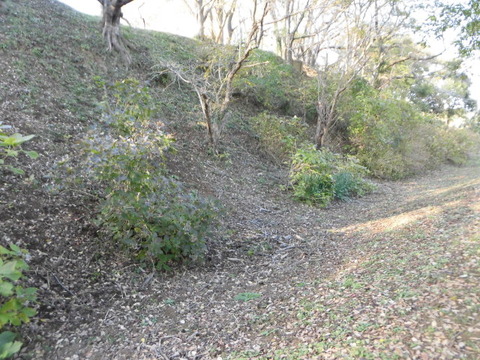 CIMG0575