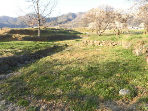 CIMG2803