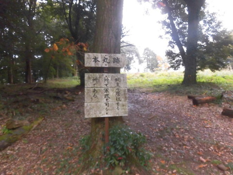 CIMG8868