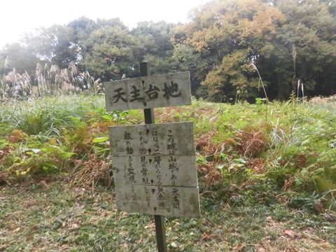 CIMG8870