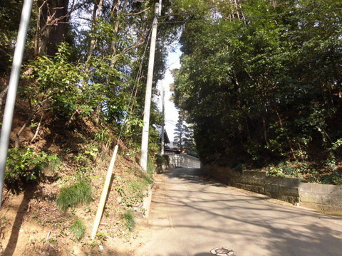 CIMG0457