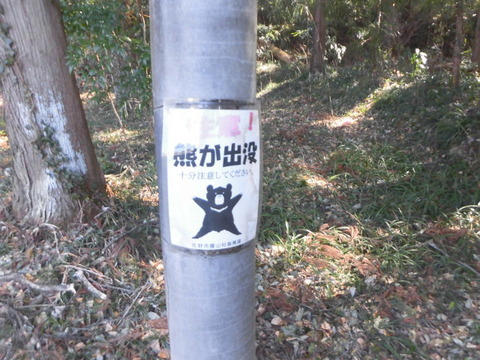 CIMG2477