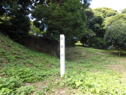 CIMG2724