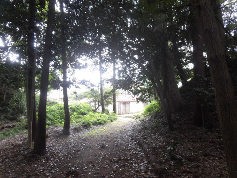 CIMG9574