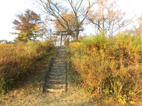 CIMG0444
