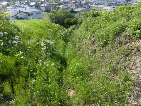 CIMG9690