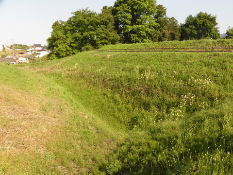 CIMG9676