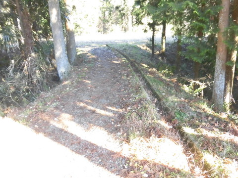 CIMG5796