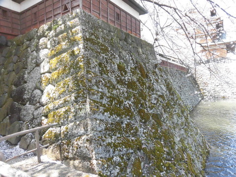 CIMG0697
