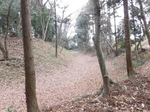 CIMG9577