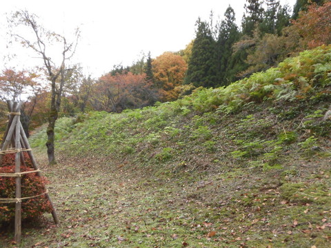 CIMG0135