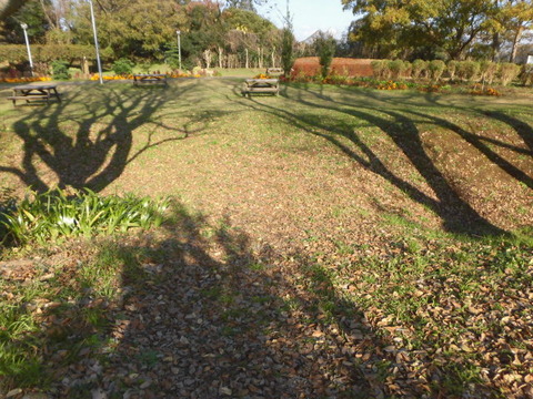 CIMG0558