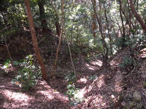 CIMG3793