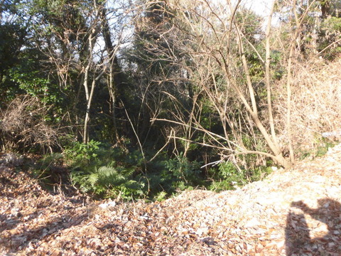 CIMG2444
