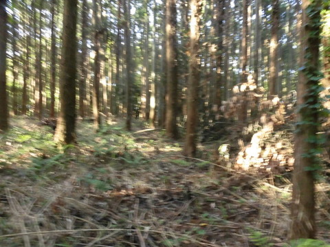 CIMG0002