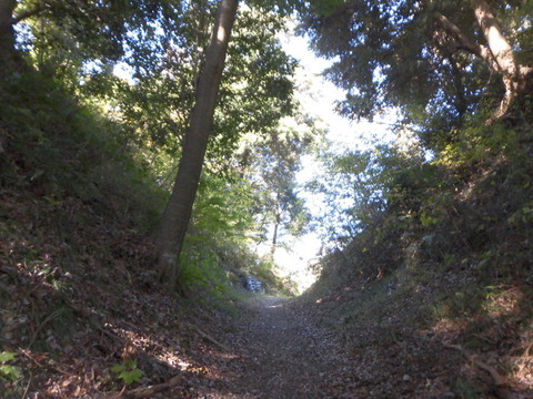 CIMG0511