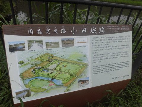 CIMG6653