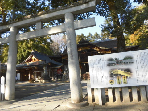 CIMG2769