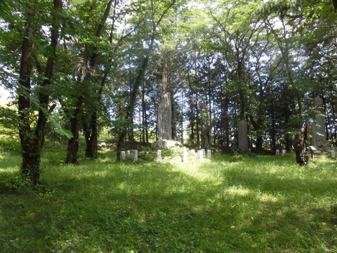 CIMG0041